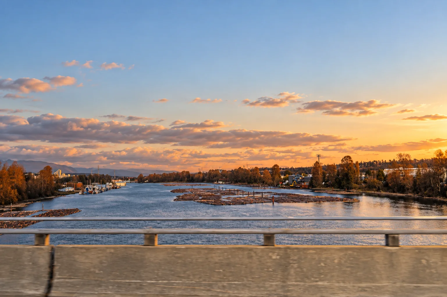 Upriver view on the Fraser River north of Annacis Island with industrial shoreline and bridge structures